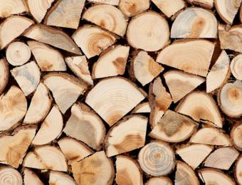 Где можно приобрести готовые дрова?