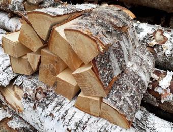 Берёзовые дрова — лучший выбор?