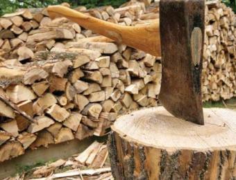 Правильная заготовка и хранение дров