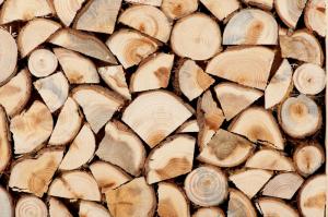 Где можно приобрести готовые дрова?