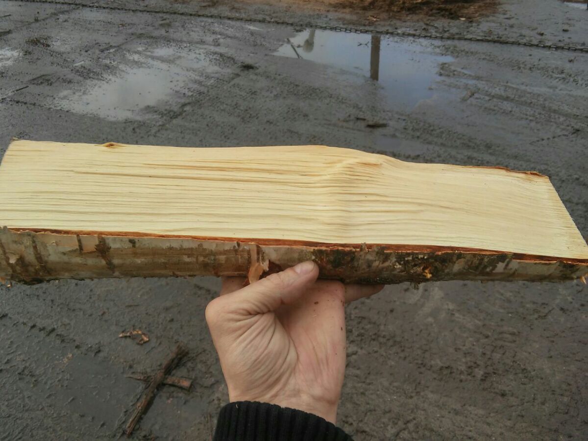 Купить березовые дрова высший сорт