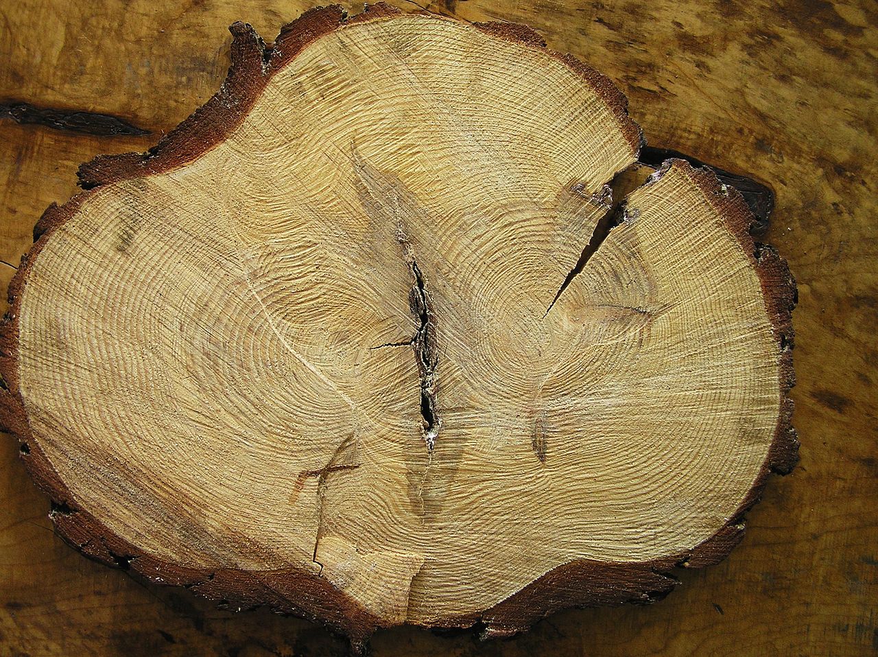Купить дрова колотые смешанные в СПб и Ленинградской области