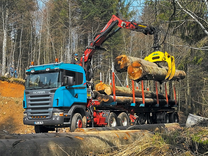 Купить дрова с доставкой на спецтехнике в Ленинградскую область